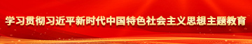 ktv艹逼学习贯彻习近平新时代中国特色社会主义思想主题教育